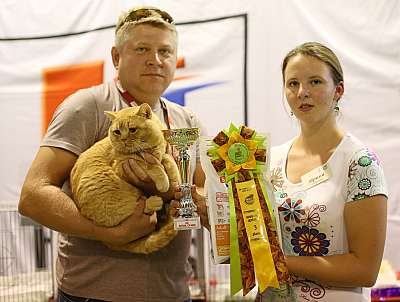 �������� ����� 20-21 �������� 2014 WCF-����� 3-222-169A2355 copy.jpg